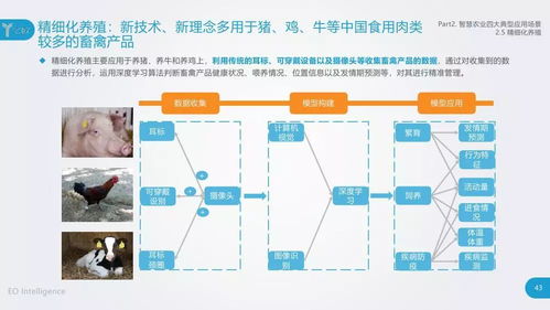 物聯(lián)網(wǎng)與人工智能技術(shù)在農(nóng)業(yè)領(lǐng)域的應(yīng)用與開發(fā)研究
